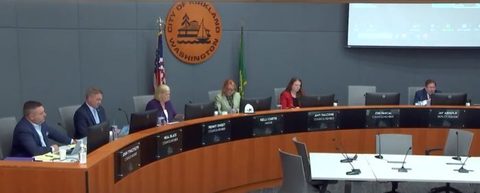 council-meeting-screenshot-20240807