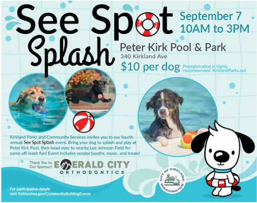 see spot splash info flyer 2024