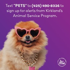 CoK_Animal Licensing_Text Pets