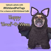 howloween pet tag photo contest dog bat