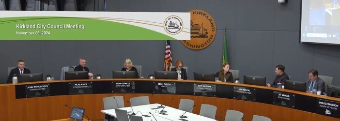 council-meeting-screenshot-20241106