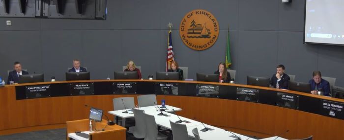 council-meeting-screenshot-20241210.jpg