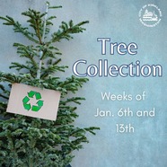tree collection Weeks of January 6 and 13