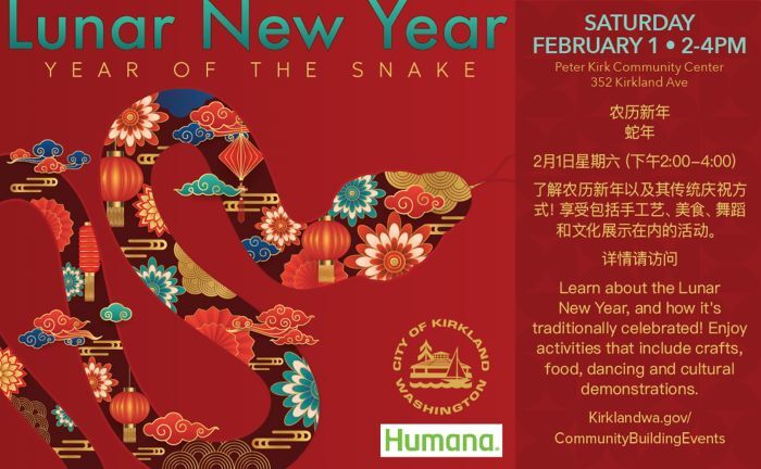 Lunar New Year flyer 2025