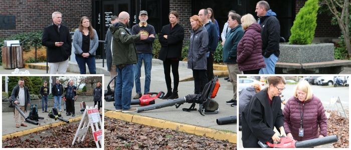 Electric leaf blower demo 20241219 collage