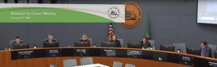 council meeting 20250109 screenshot