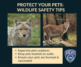 Protect Your Pets - Wildlife Safety Tips