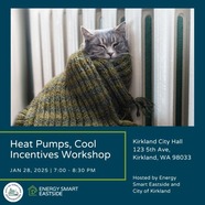 Kirkland heat pump cool incentives Workshop cat at furnace