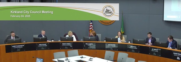 council meeting 20250204 screenshot