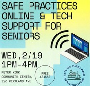 safe practices online and tech support for seniors cropped