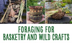 KCLS Kingsgate library Foraging for basketry