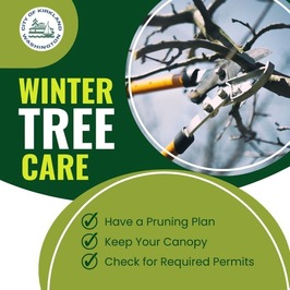 winter tree care