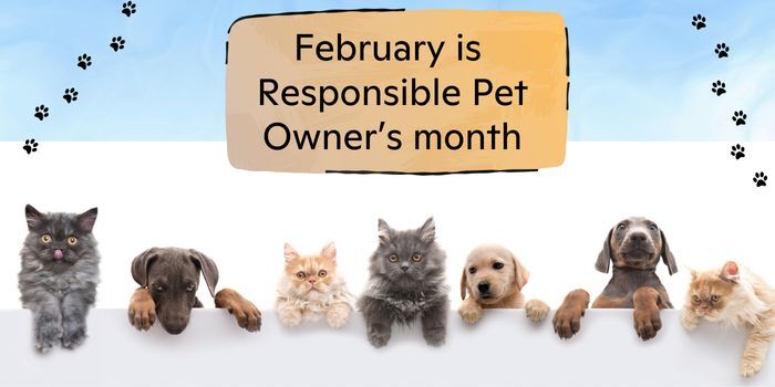 February is Responsible Pet Owner’s month