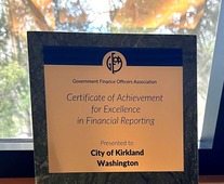 gfoa certificate of excellence in financial reporting
