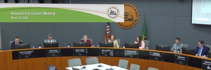 council meeting 20250318 screenshot