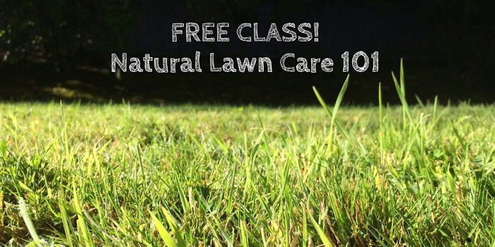 natural lawn care 101