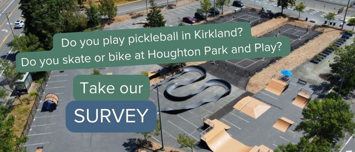 houghton park and play survey