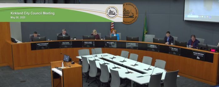 council meeting screenshot 20250506