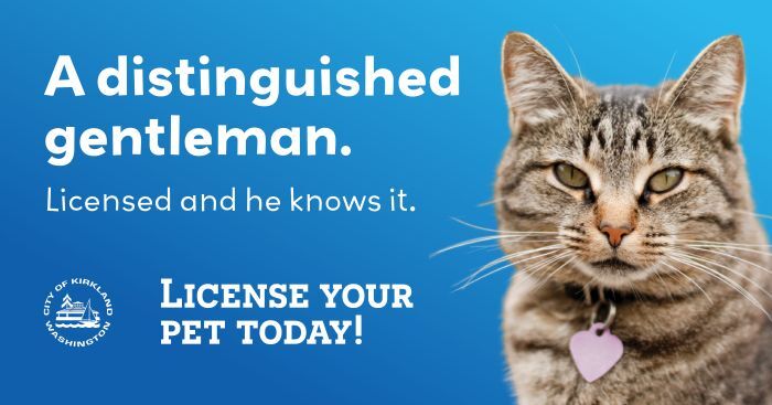 animal pet licensing distinguished gentleman