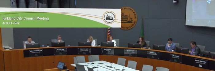 council meeting 20250603 screenshot