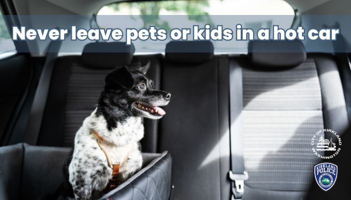 Look Before You Lock - never leave pets or kids in hot car