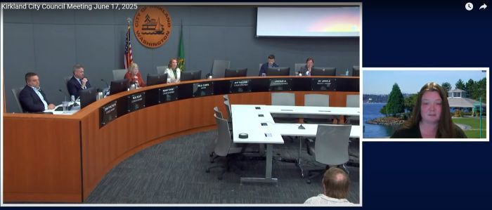 council meeting 20250617 screenshot with amy falcone