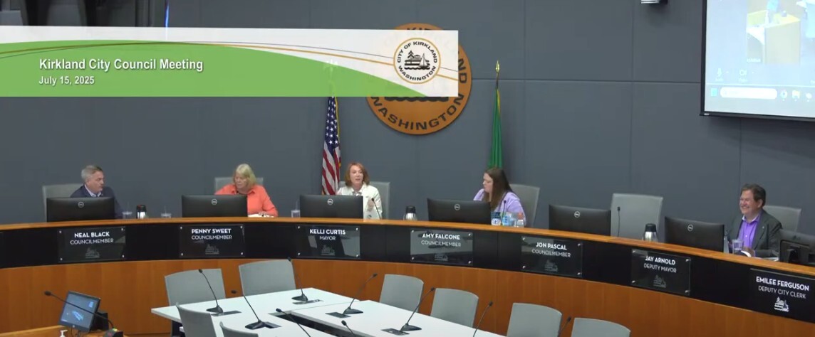 council meeting 20250715 screenshot