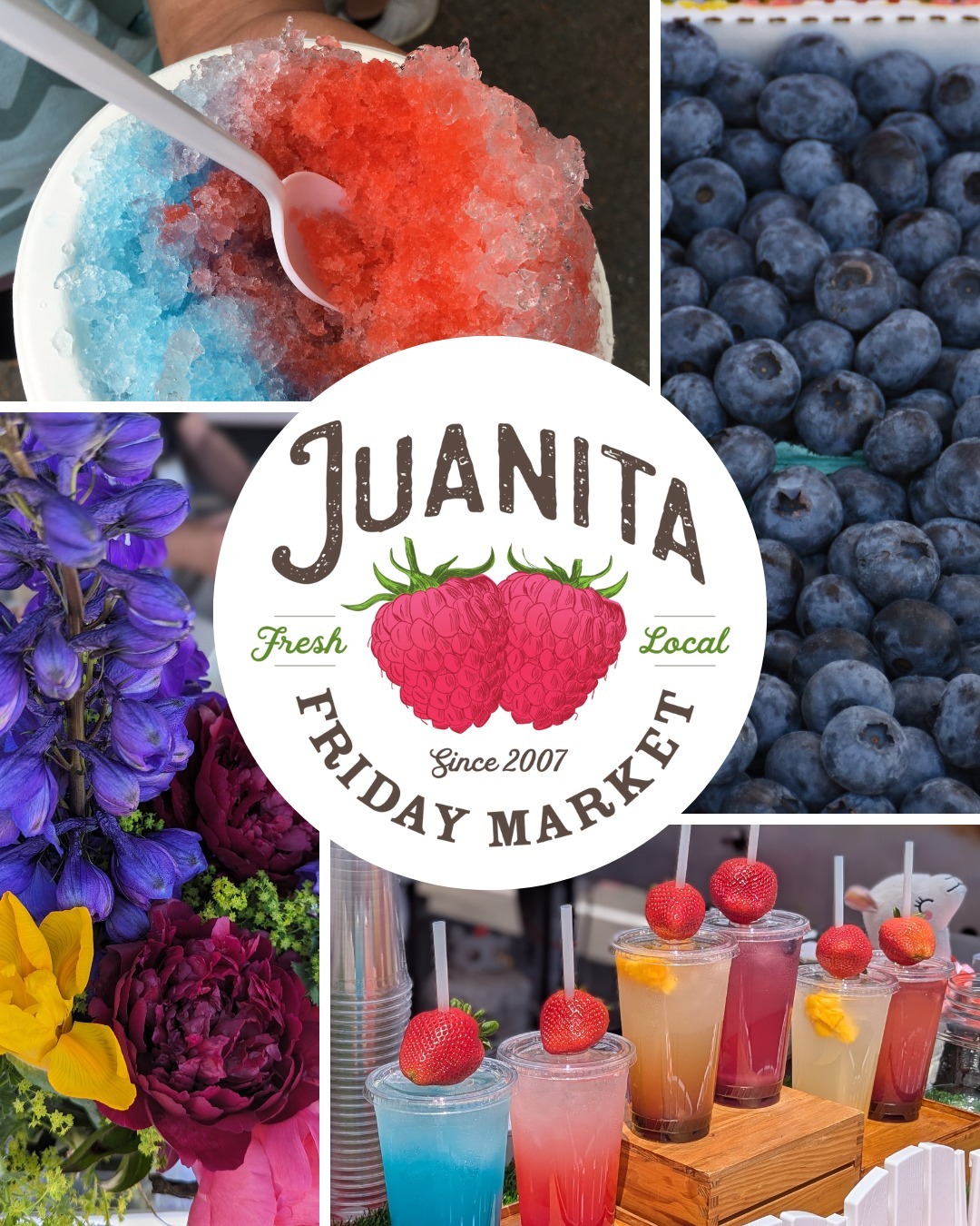 Juanita Friday Market - Blueberries - snowcone - lemonade