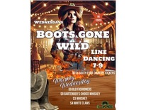 Boots Gone Wild
