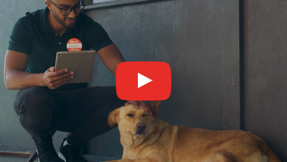 Let’s Chat: Pet Preparedness