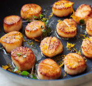 Exquisite Italian Dining