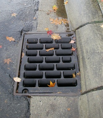 Leaves going into drain.