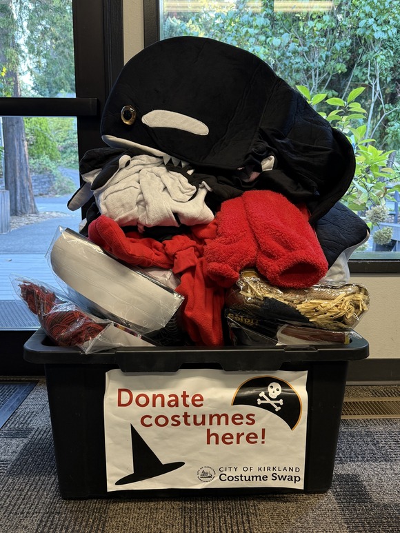 2025 Halloween Costume Swap - drop off bin.