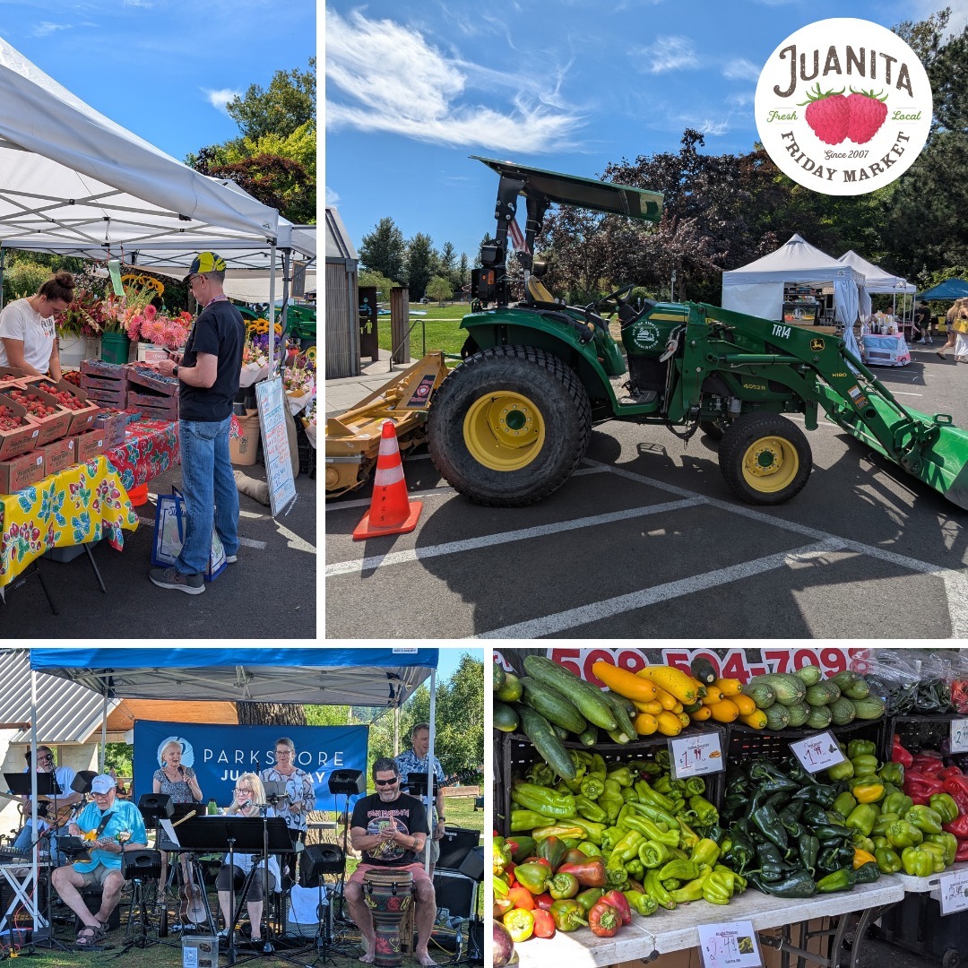Juanita friday market collage - music food tractor.