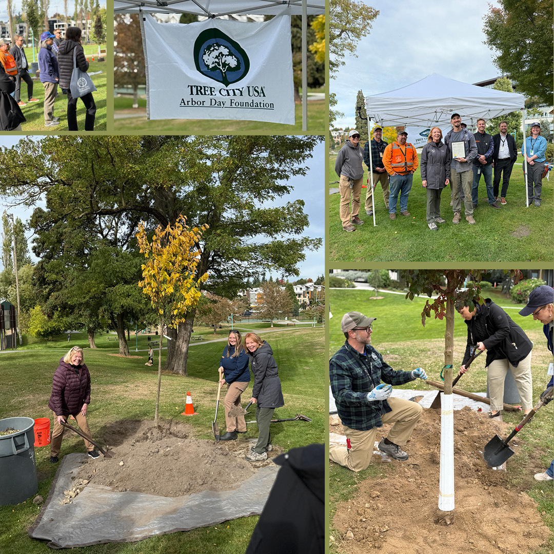 Arbor Day compilation