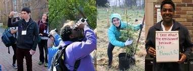 Habitat Restoration at Rose Hill Meadows Park