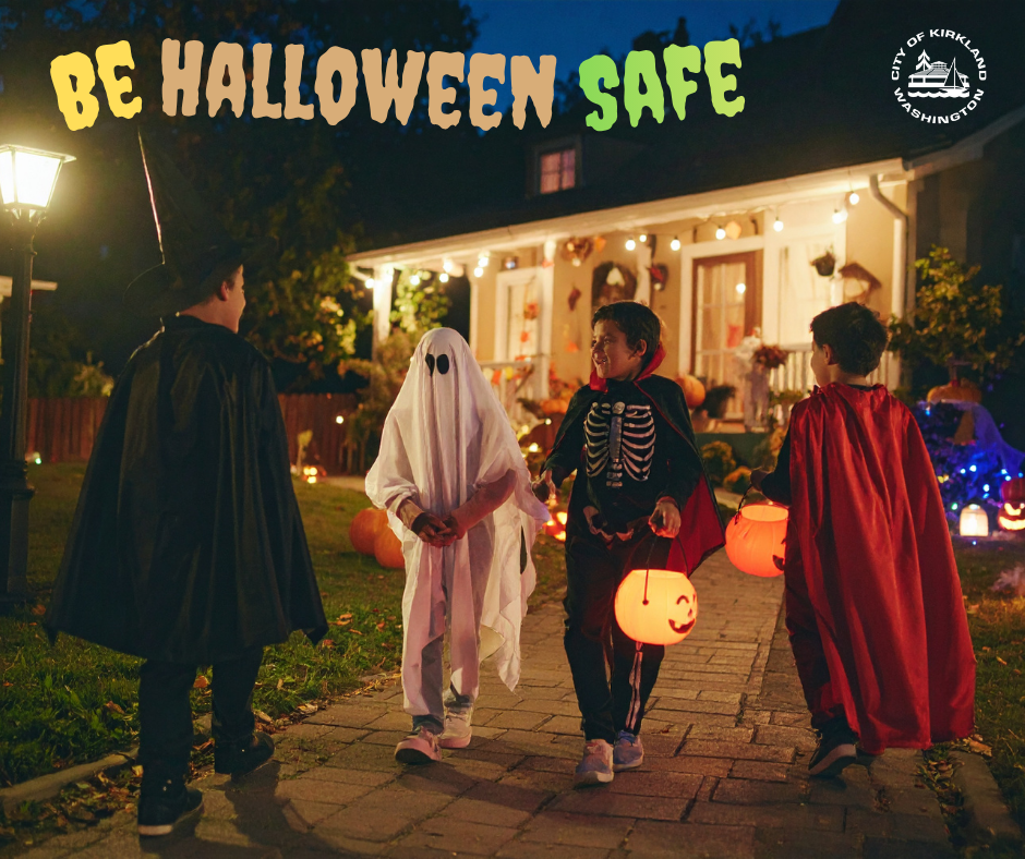 Be Safe and Seen this Halloween