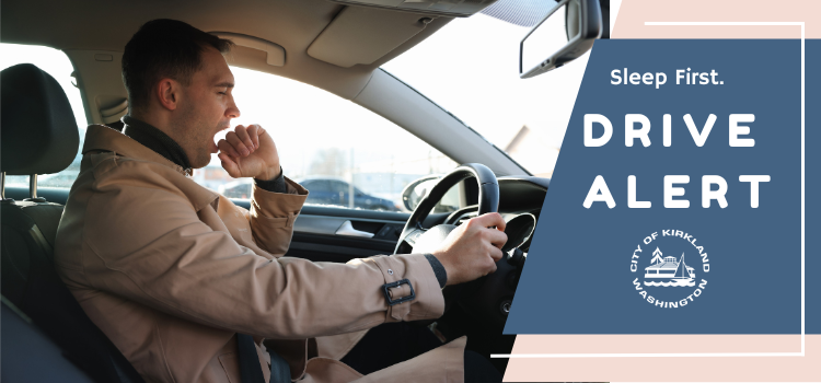 Drowsy Driver Prevention