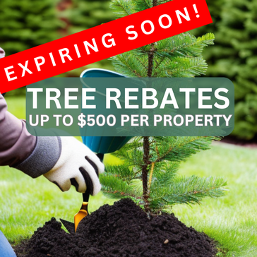Tree rebates expire soon.