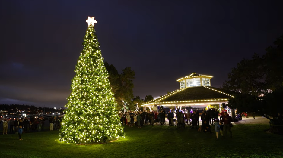 Winterfest 2024 video