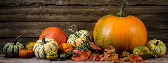 Fall or Thanksgiving leaves, squash, and pumpkins.