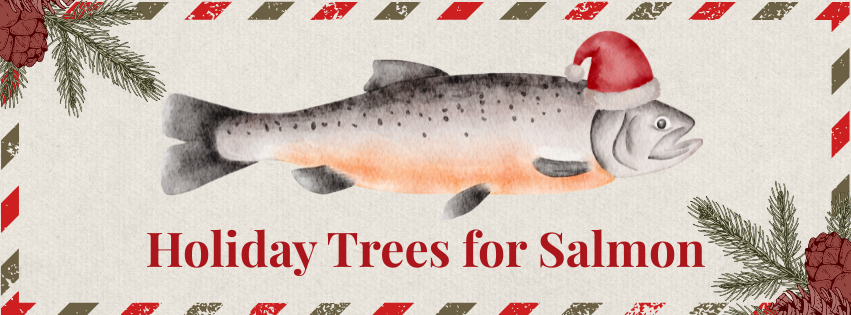Holiday trees for salmon.
