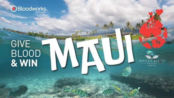 Blood drive and Maui
