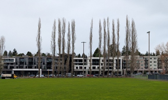 Tree update for Peter Kirk Part