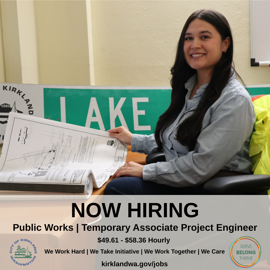 Temp Associate Project Engineer