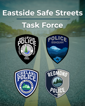 Traffic Safety Task Force
