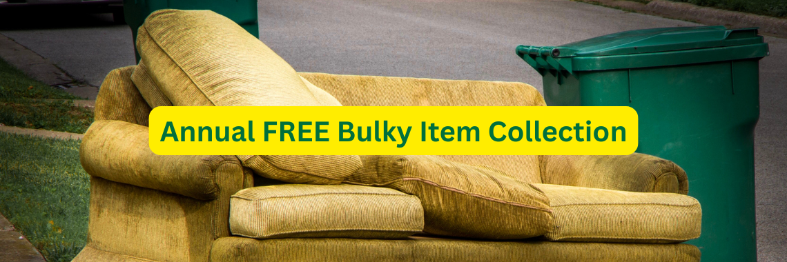 Bulky Item Collection