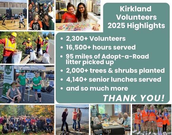 Volunteer Highlights 2025