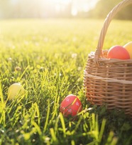 Egg hunt_stock photo_dreamstime