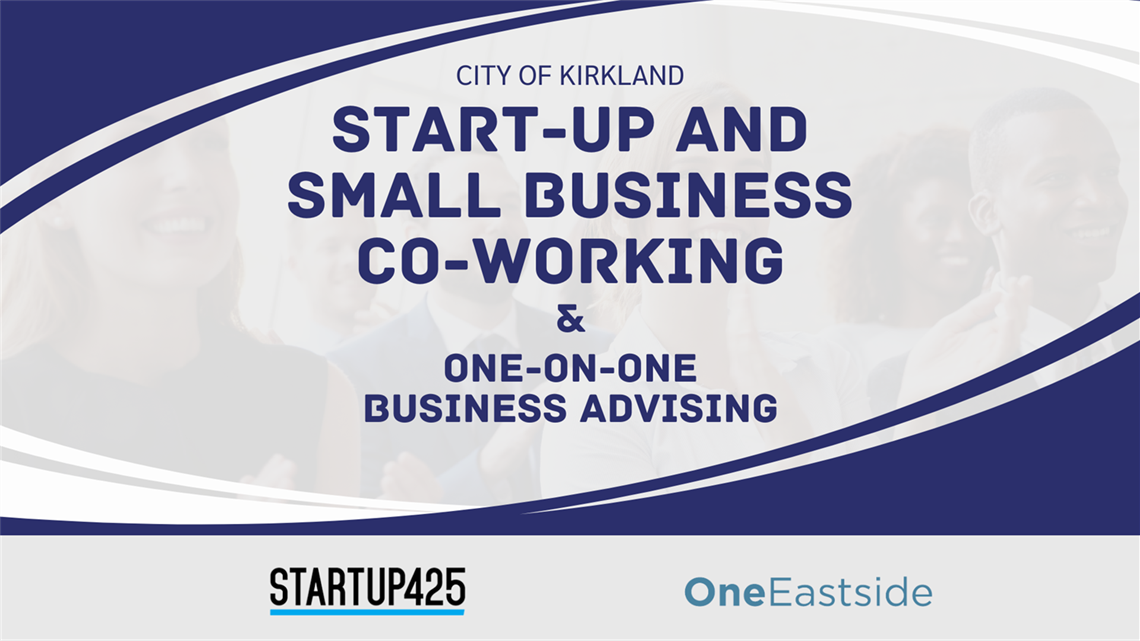 Co-Working and Business Advising Day